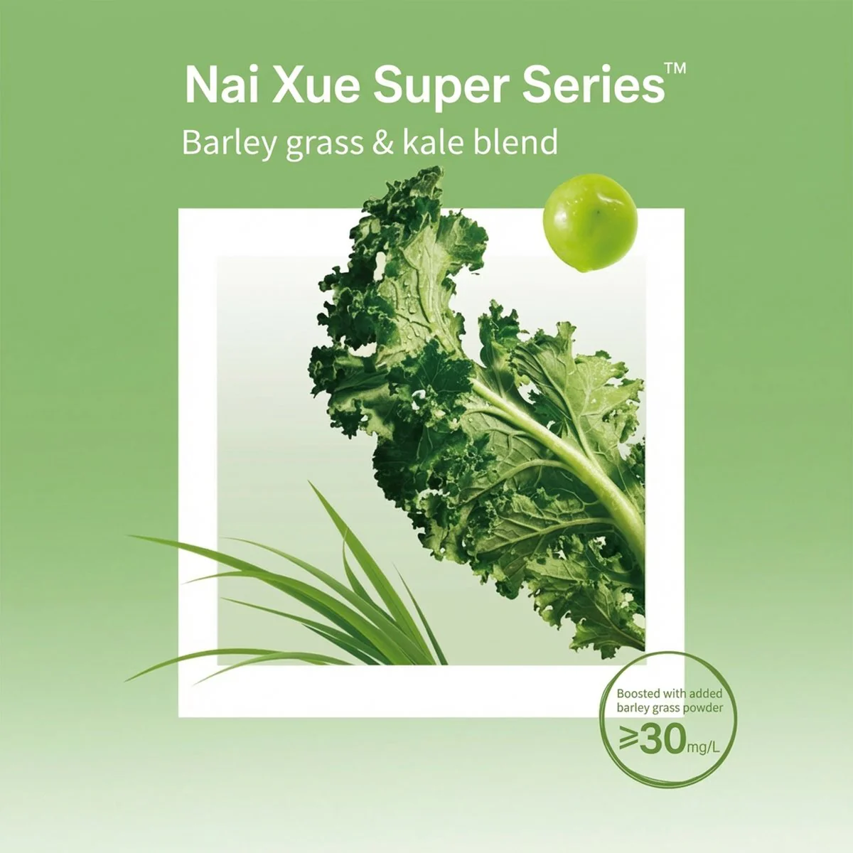 Nayuki Super Fruit & Veggie Tea Kale & Barley Jasmine Drink 1L x 12 – Limited Import - Image 4
