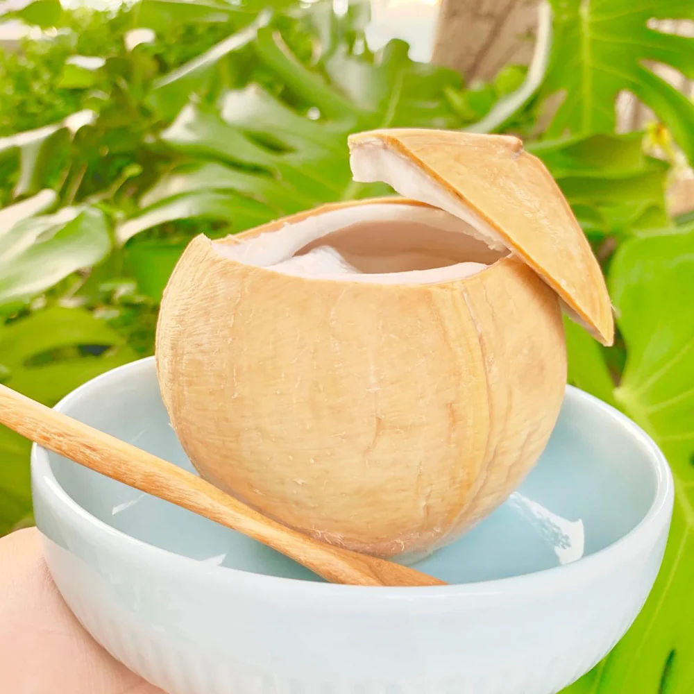 NC Coconut Coco Jelly 300g - Frozen Coconut Dessert in Natural Shell - Image 2