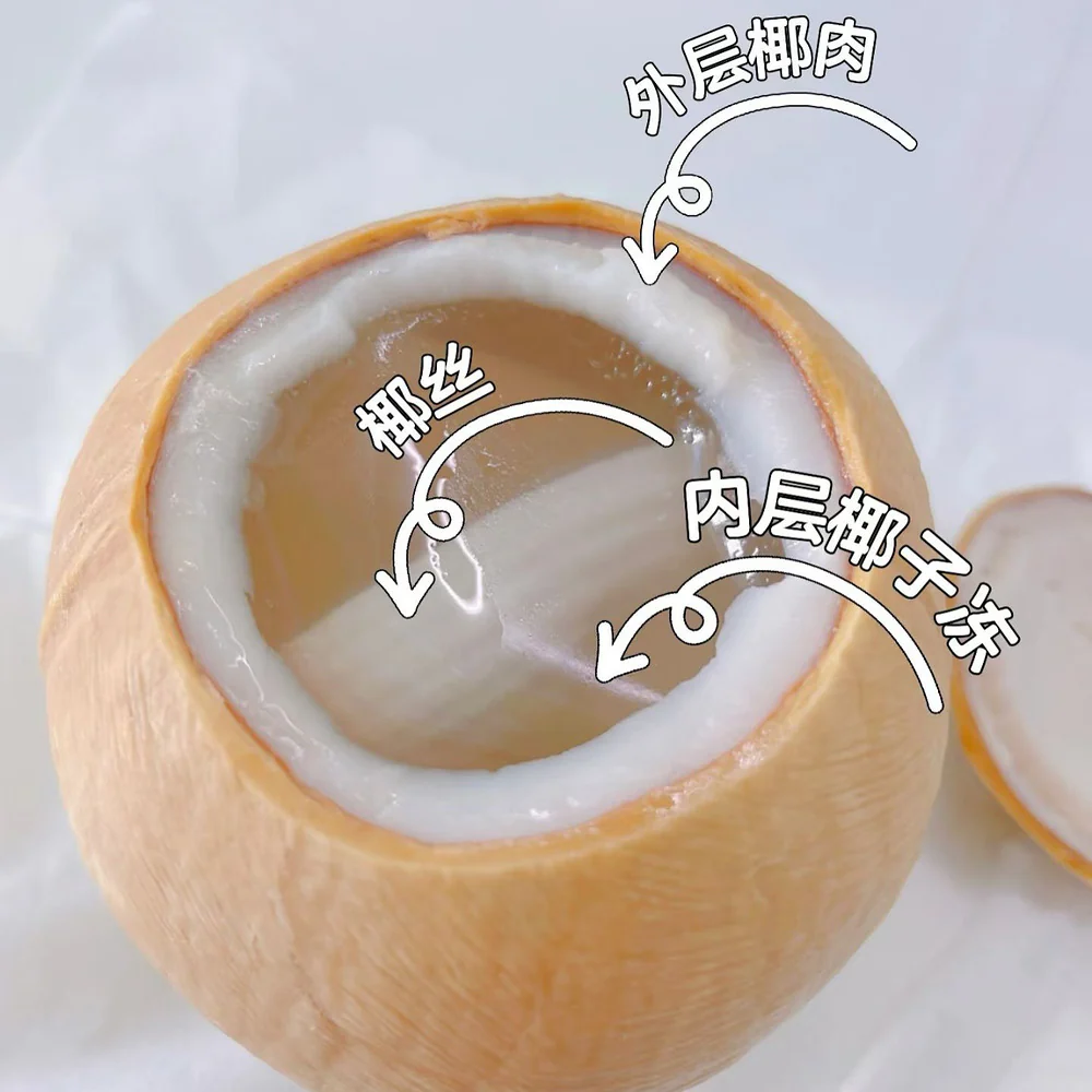 NC Coconut Coco Jelly 300g - Frozen Coconut Dessert in Natural Shell - Image 3