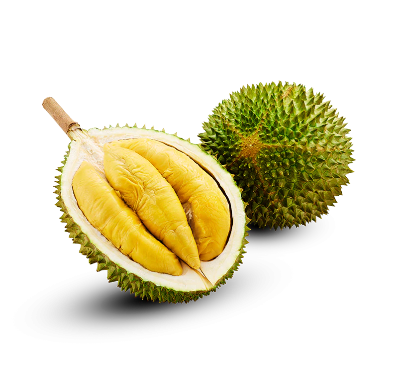 Netted D197 Musang King Durian - 2.2kg Each