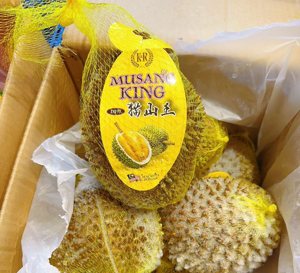 Netted D197 Musang King Durian - 2.2kg Each - Image 2