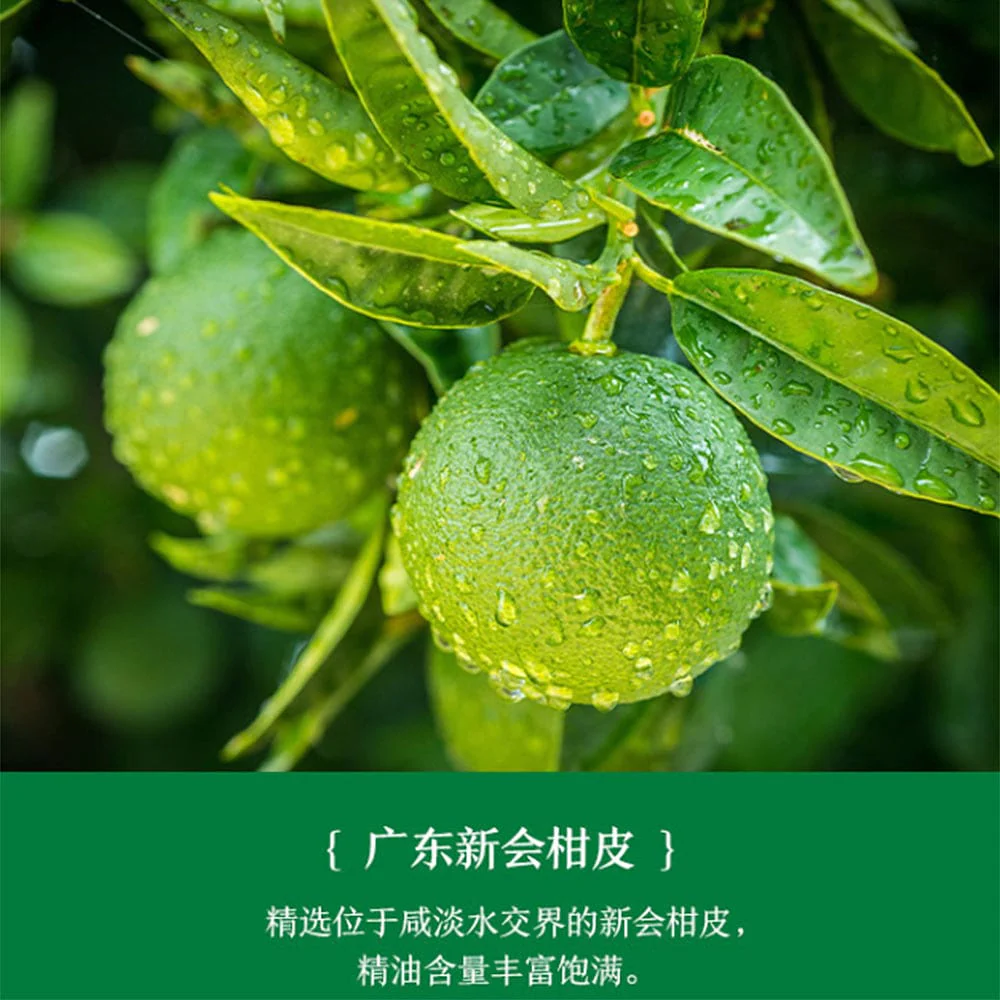 Nongfu Spring Oriental Leaf Green Tangerine Pu'er Tea 500ml X2 - Image 3