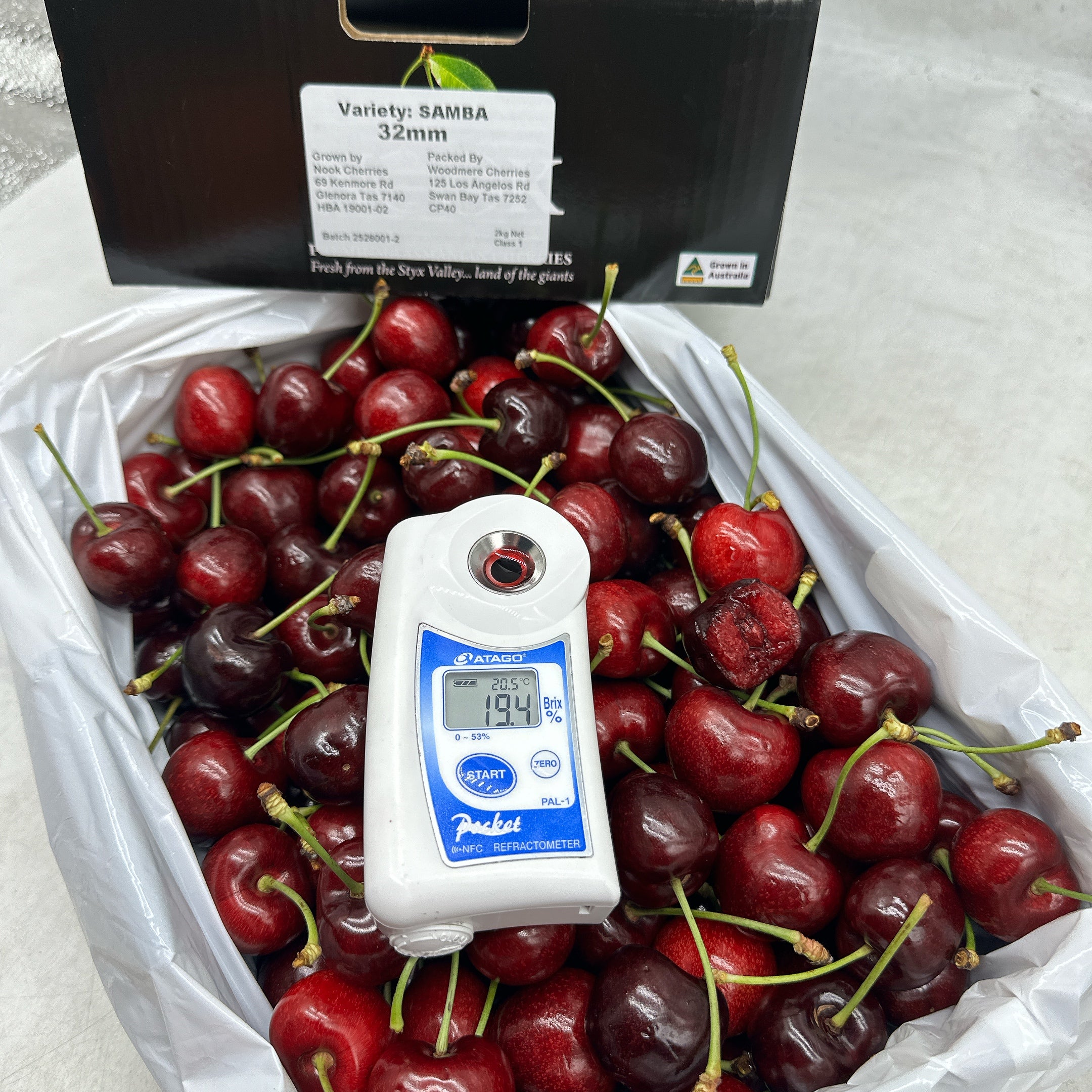 Nook Tasmanian Samba Cherries 32mm+ Gift Box 2kg - Image 2