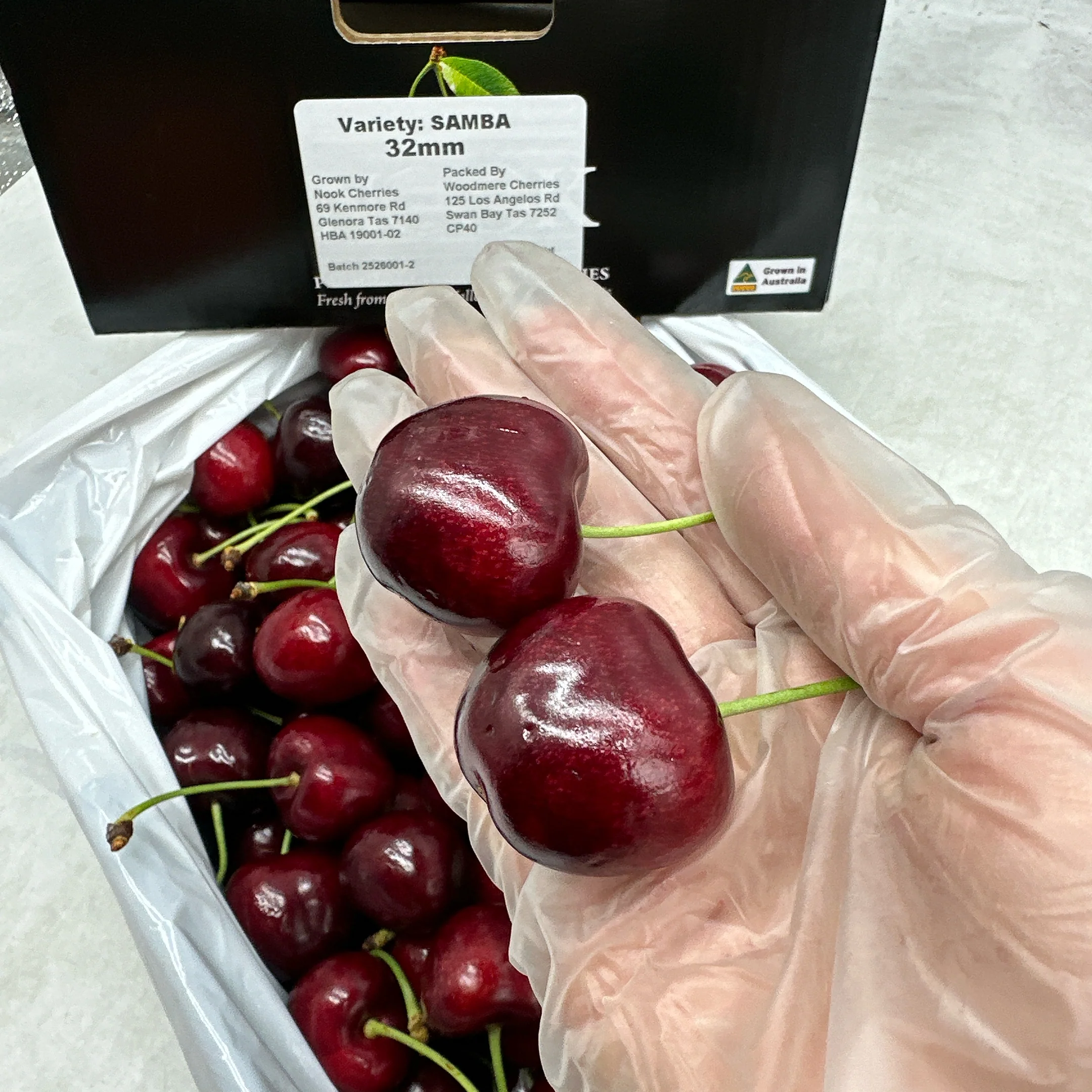Nook Tasmanian Samba Cherries 32mm+ Gift Box 2kg - Image 4
