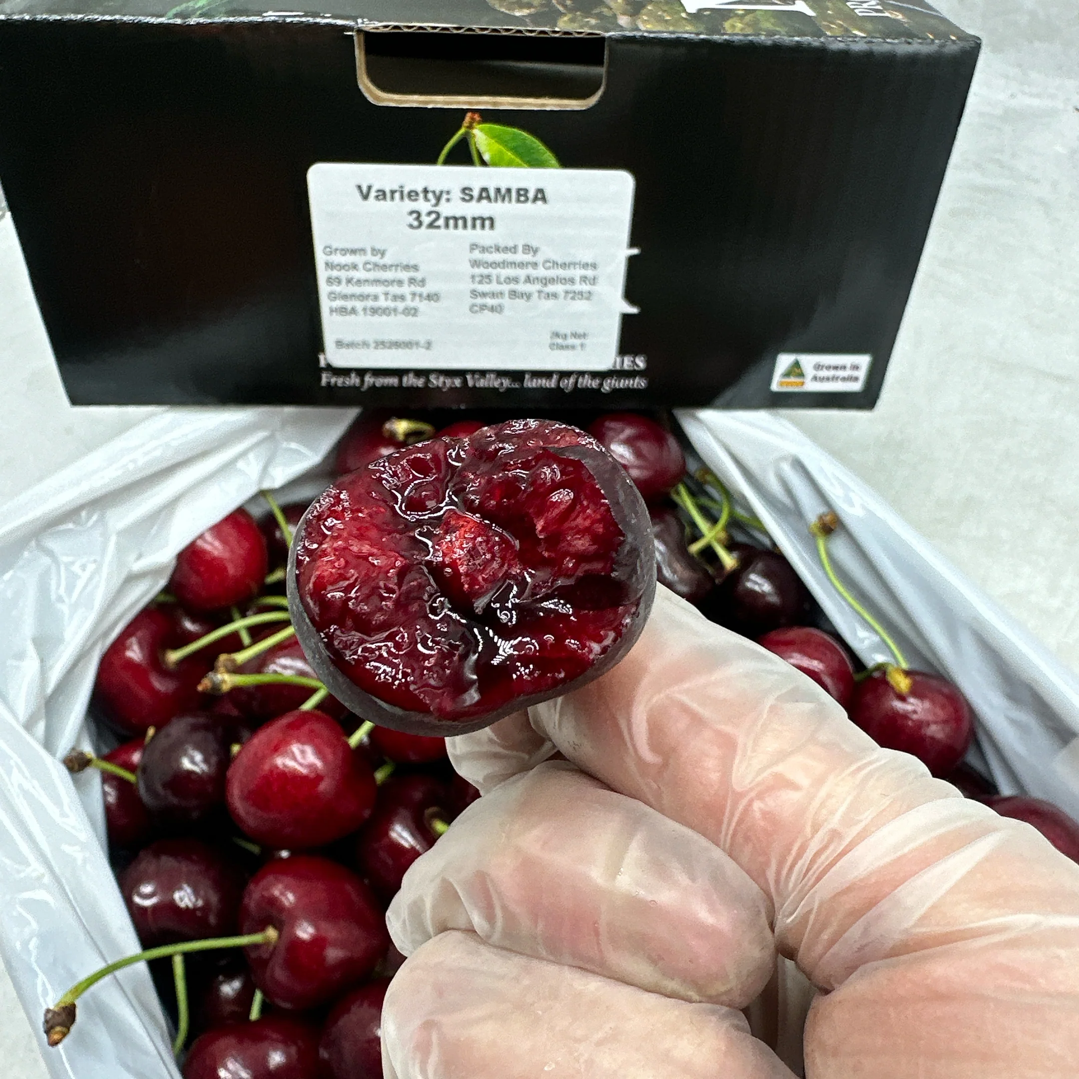 Nook Tasmanian Samba Cherries 32mm+ Gift Box 2kg - Image 5