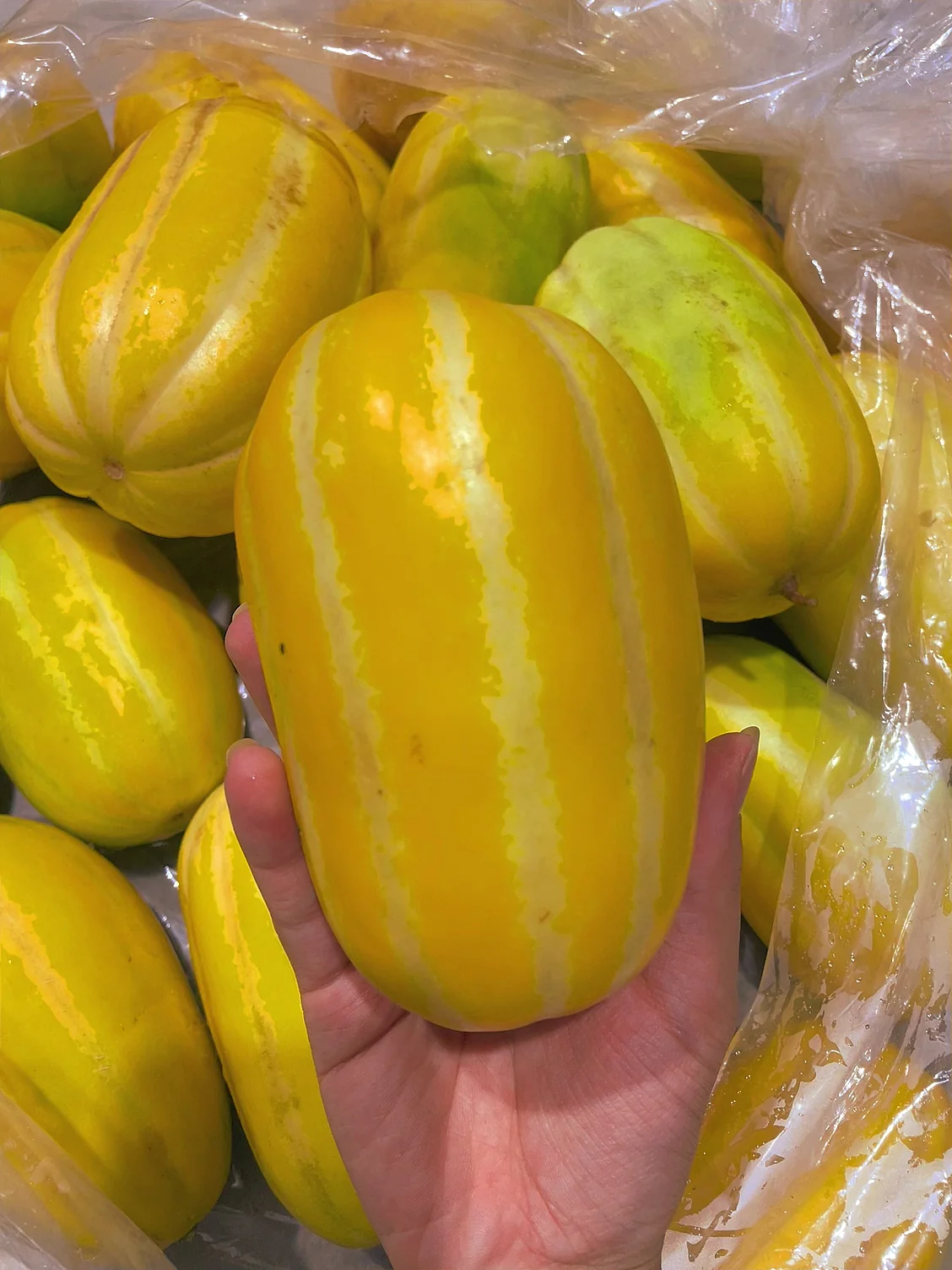 Northeast Sweet Melon - 1 Piece, 400g
