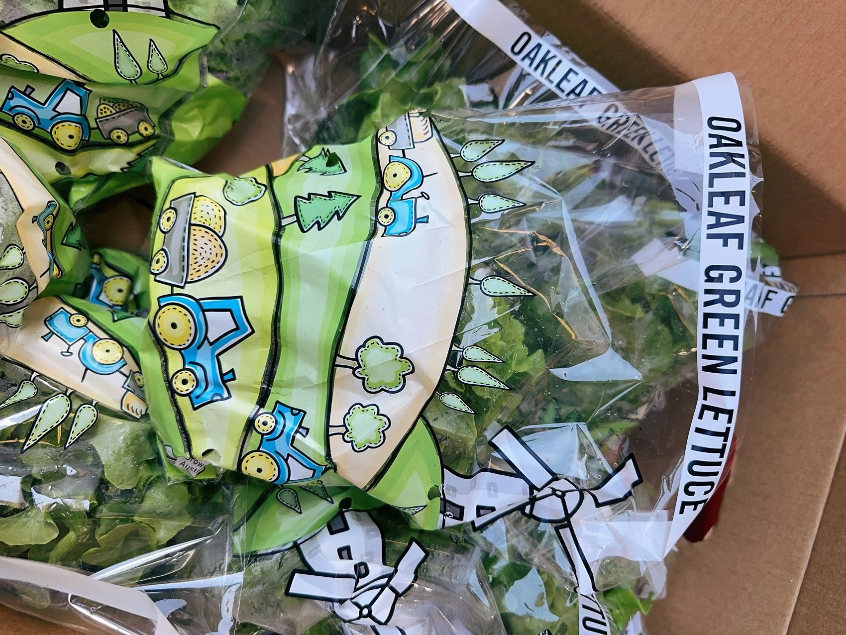 Oakleaf Green Lettuce - 1 Pack - Image 2