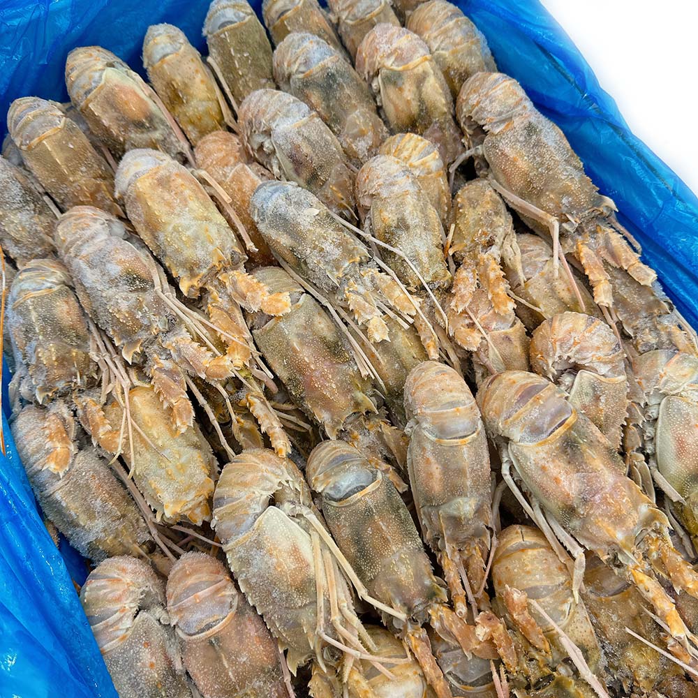 Ocean Caught Frozen Large Lobster Claws - 15 Pieces, 1kg - Image 2