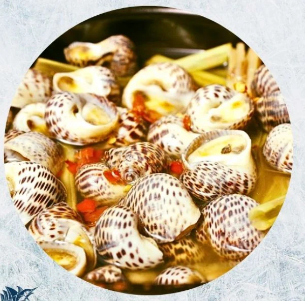 Oceans 888 Frozen Cooked Tiger Moon Snail - 800g