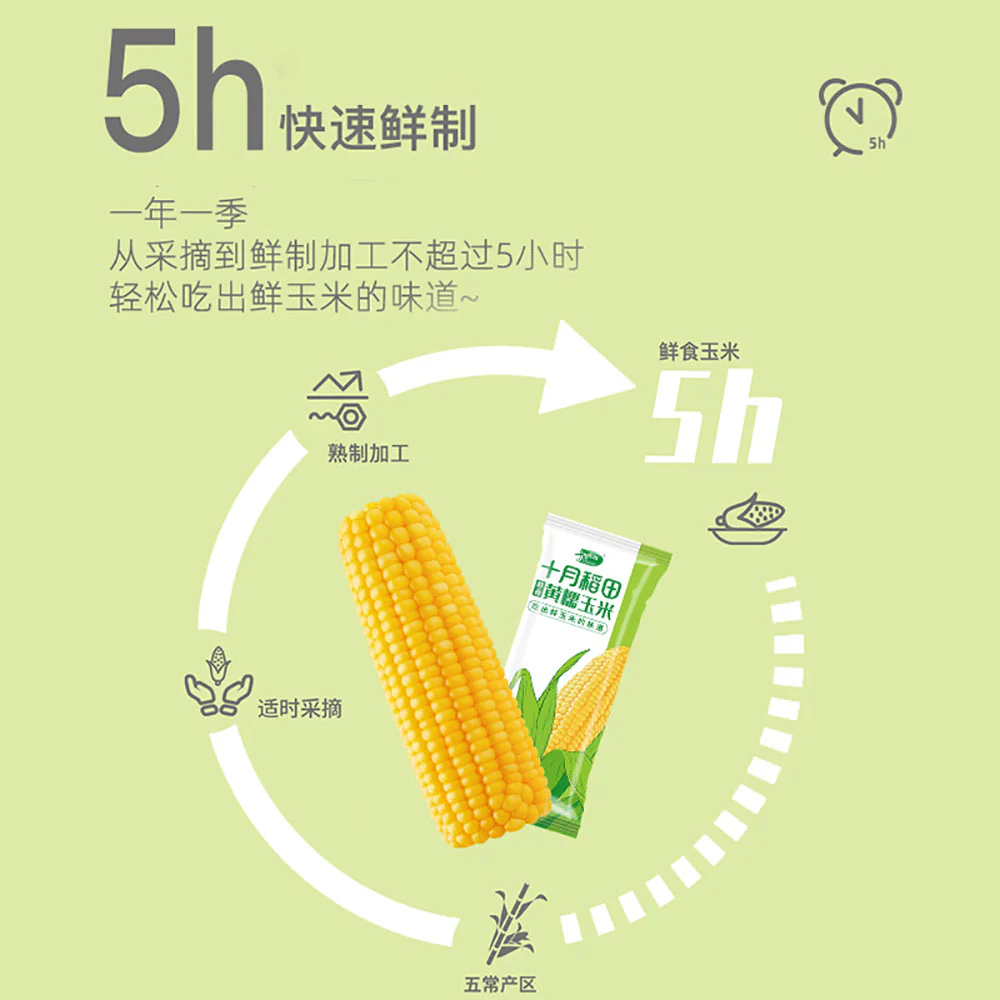 October Paddy Yellow Glutinous Corn - Single 220g - Image 2