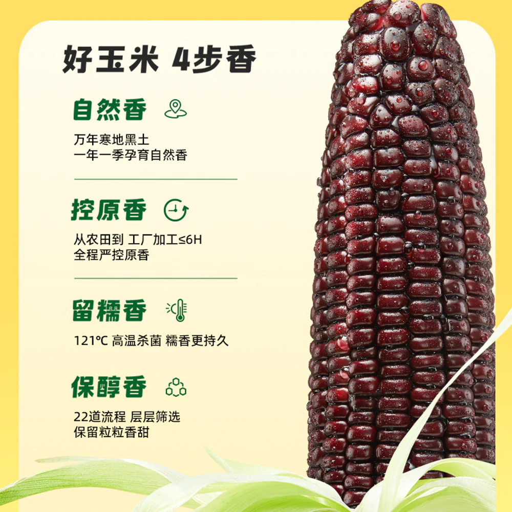 October Rice Field Black Glutinous Corn 1.76kg - Ready-to-Eat Vacuum Packs - Image 4