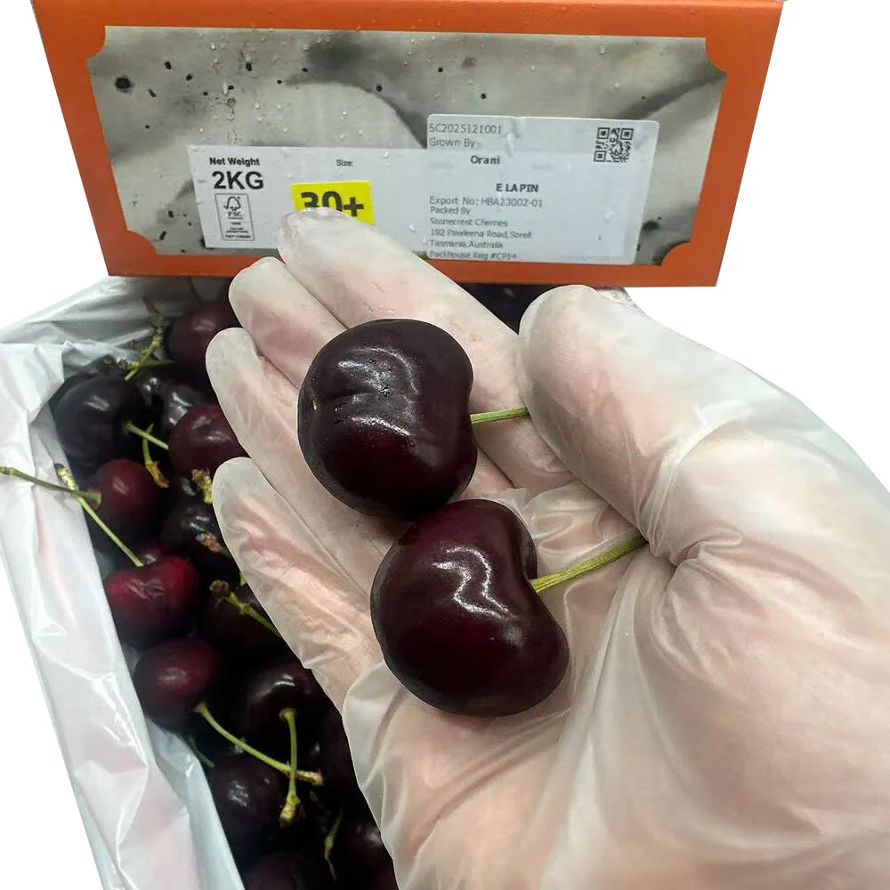 Orani Tasmanian Lapin Cherries Gift Box 2kg – 30mm+ Size - Image 4