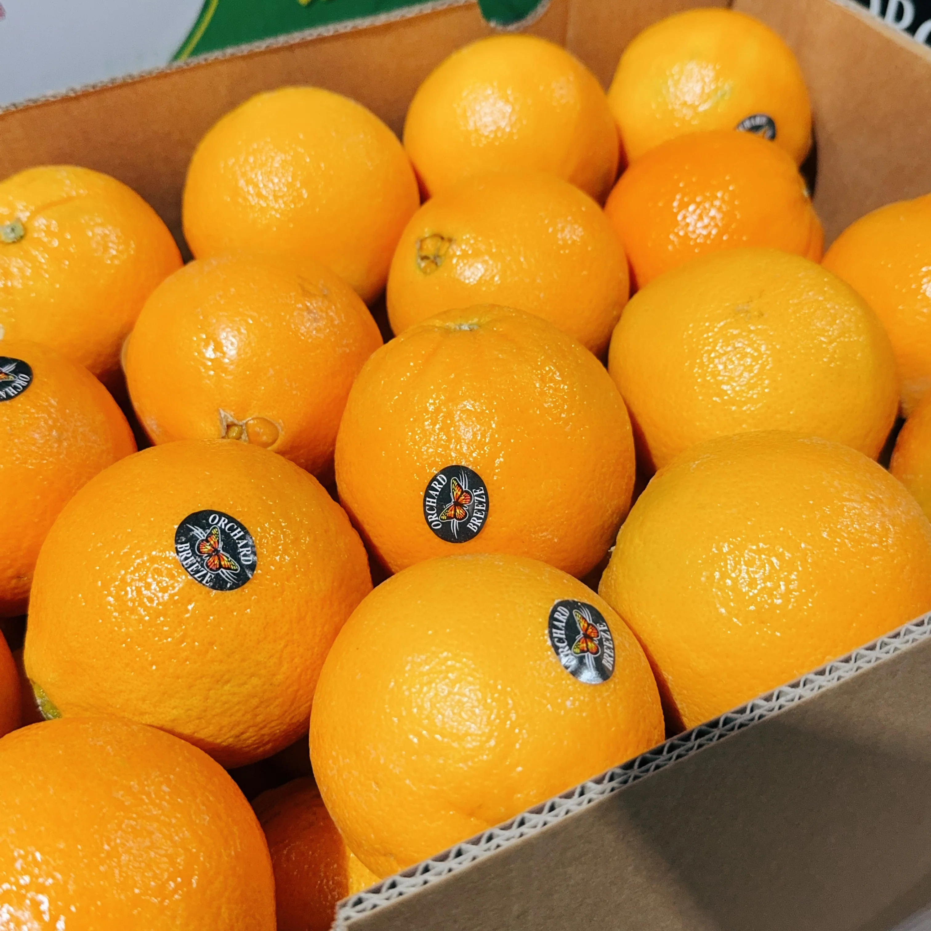 Orchard Breeze Local Sweet Oranges - 3 Pieces - Image 4