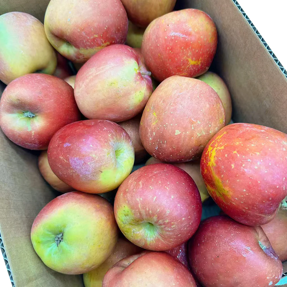 Organic Honeycore “Sugar Heart” Apples – 0.9kg - Image 2