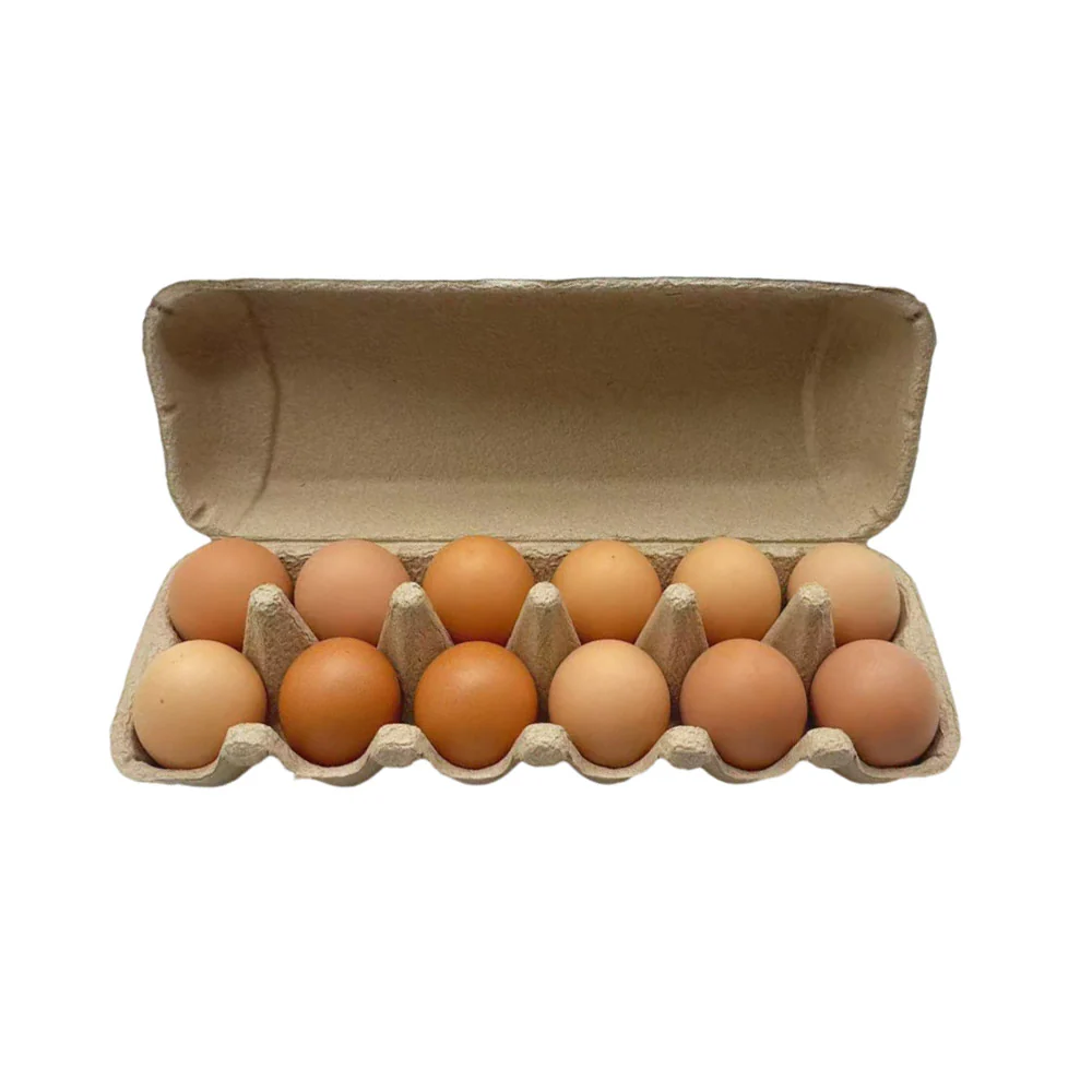 Organigrow Certified Organic Free Range Eggs 12 Pack 700g - Image 2