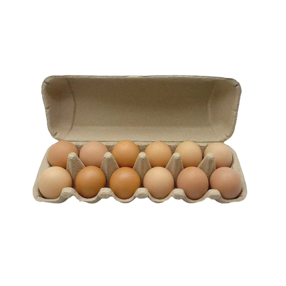 Organigrow Certified Organic Free Range Eggs 12 Pack 700g - Image 3