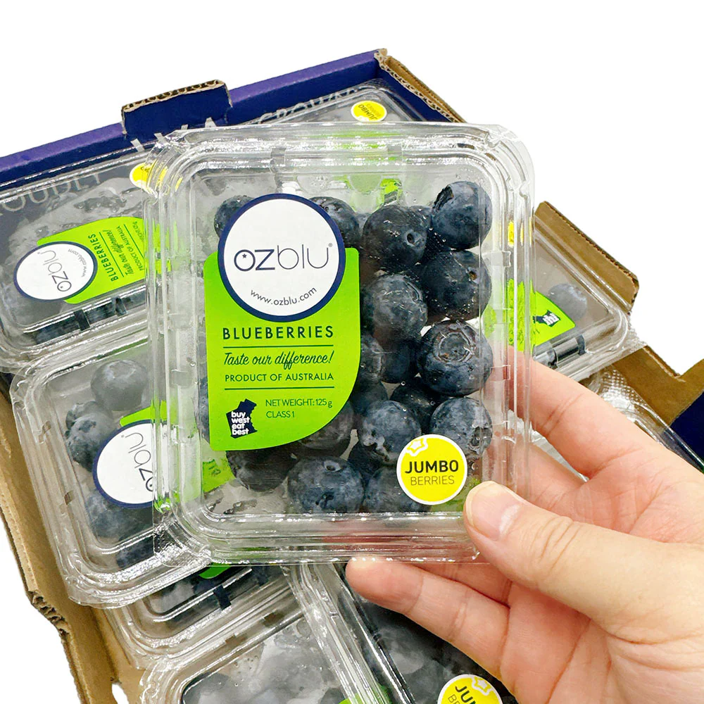 Ozblu Jumbo Blueberry - 1 box - Image 2