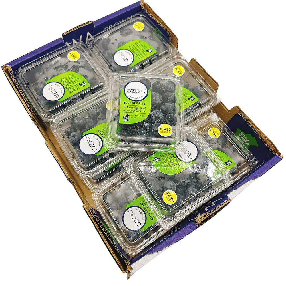Ozblu Jumbo Blueberry - 1 box - Image 3