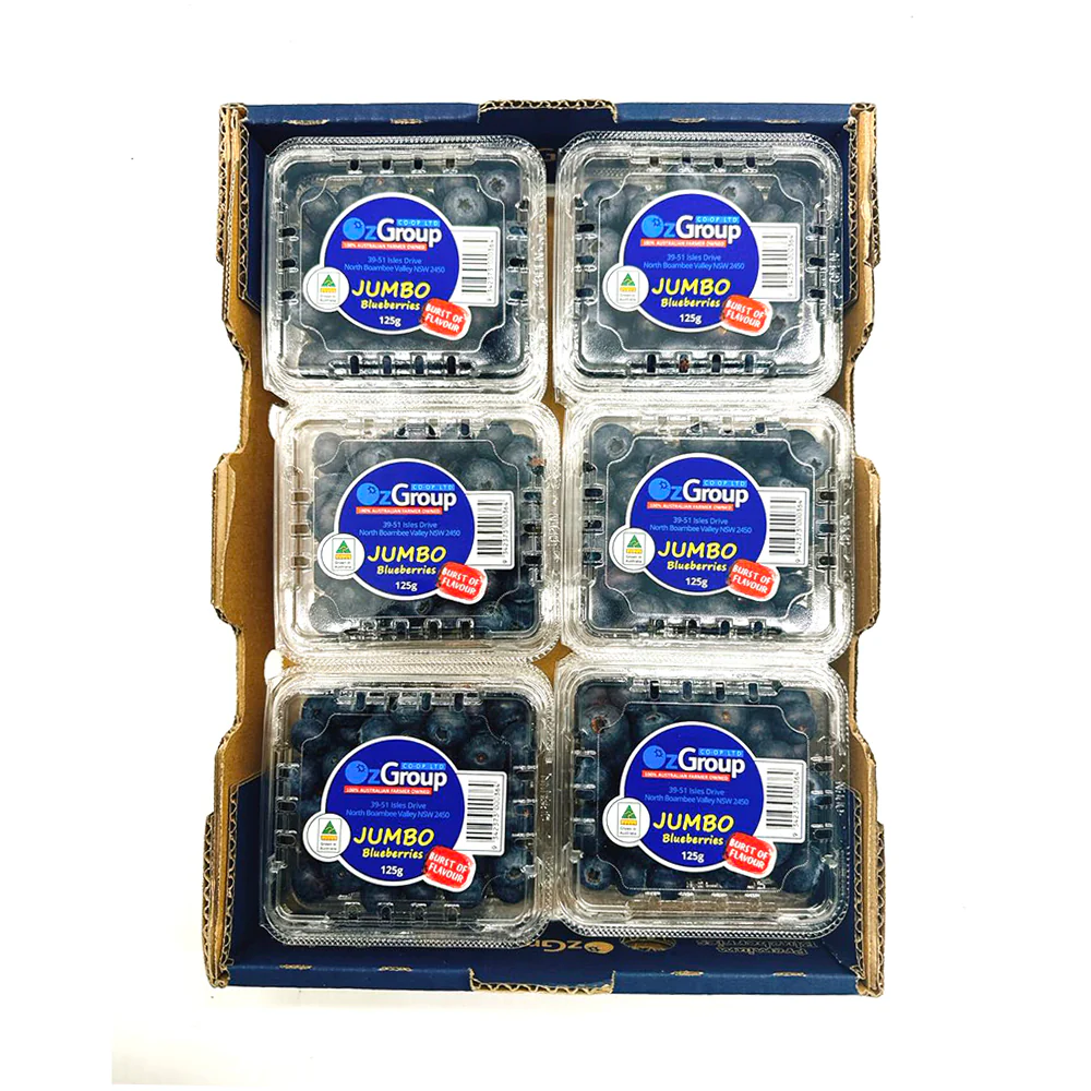 OzGroup Jumbo Sweet Blueberries - Box of 12 Packs