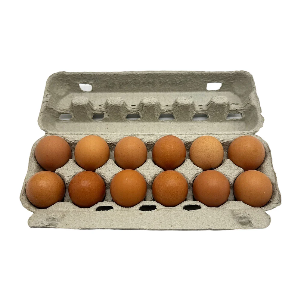 Pace Farm Caged Eggs Large 12 Pack 600g (Limit 1 PP) - Image 3