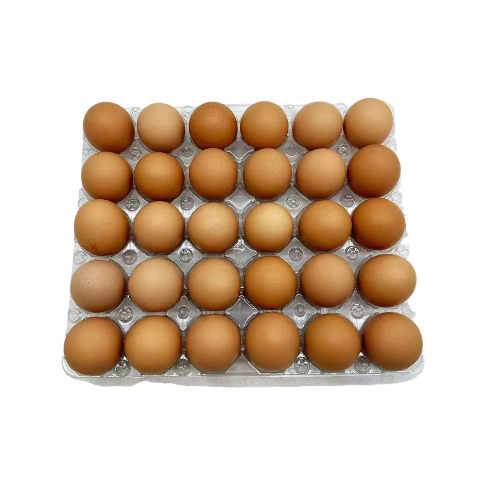 Pace Farm Free Range Large Eggs - 30 Pack (1.75kg) - Image 2