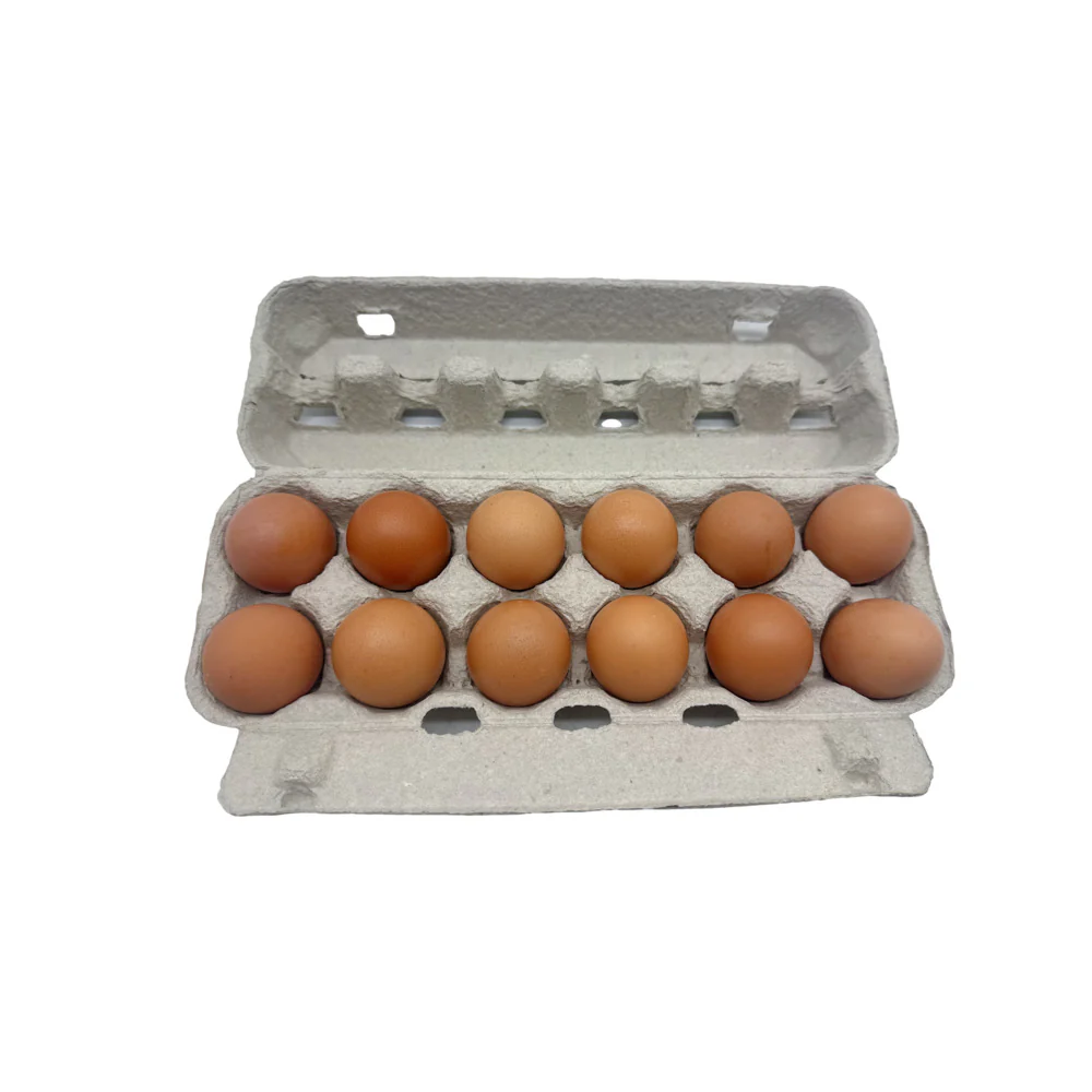 Pace Farm Fresh Eggs - 12 Pieces, 500g - Image 2