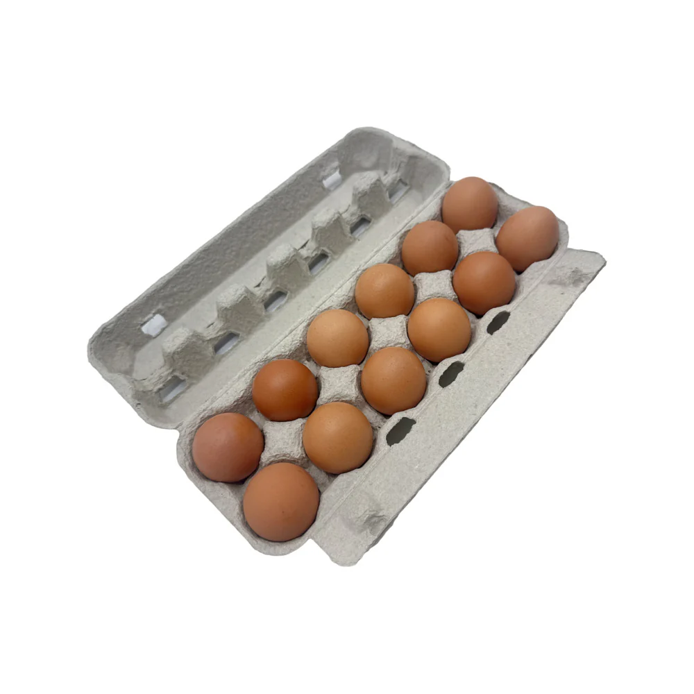Pace Farm Fresh Eggs - 12 Pieces, 500g - Image 3