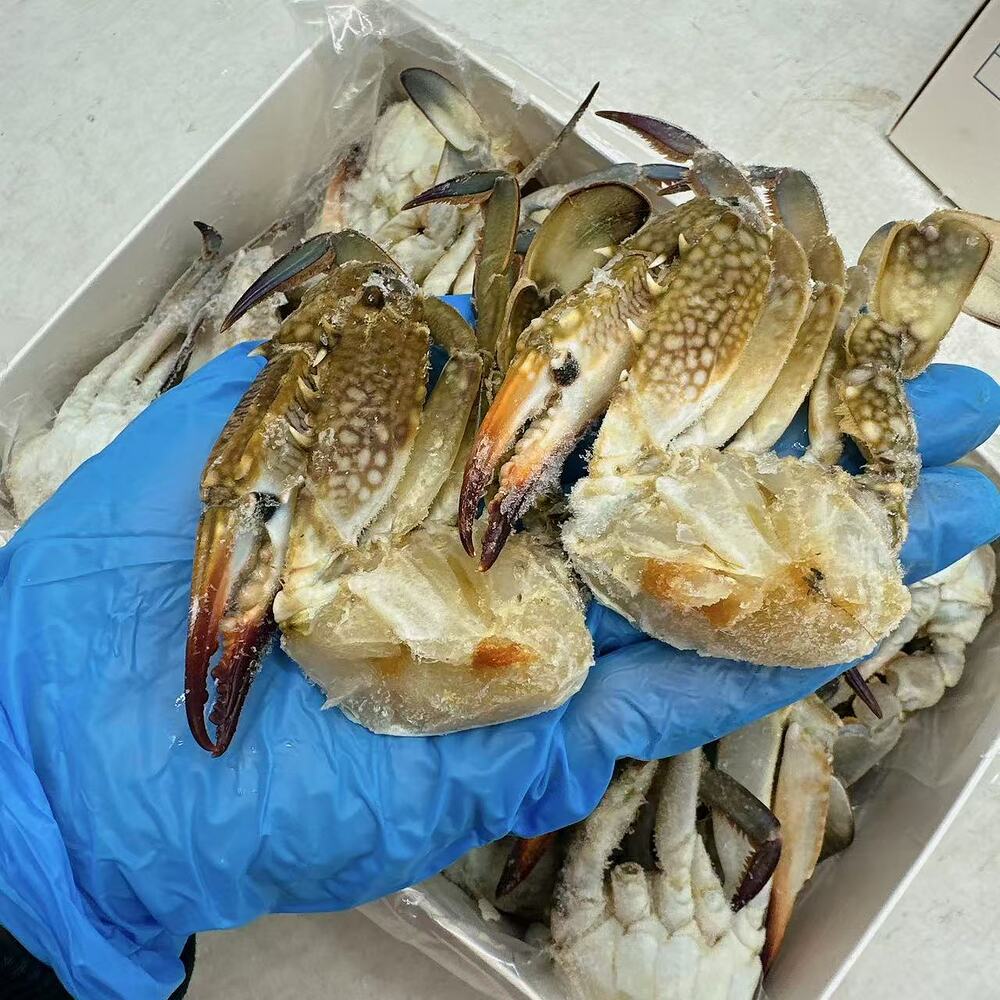 Pacific Gourmet Raw Blue Swimmer Crab Half Cut Size 26/30 – 1kg - Image 3