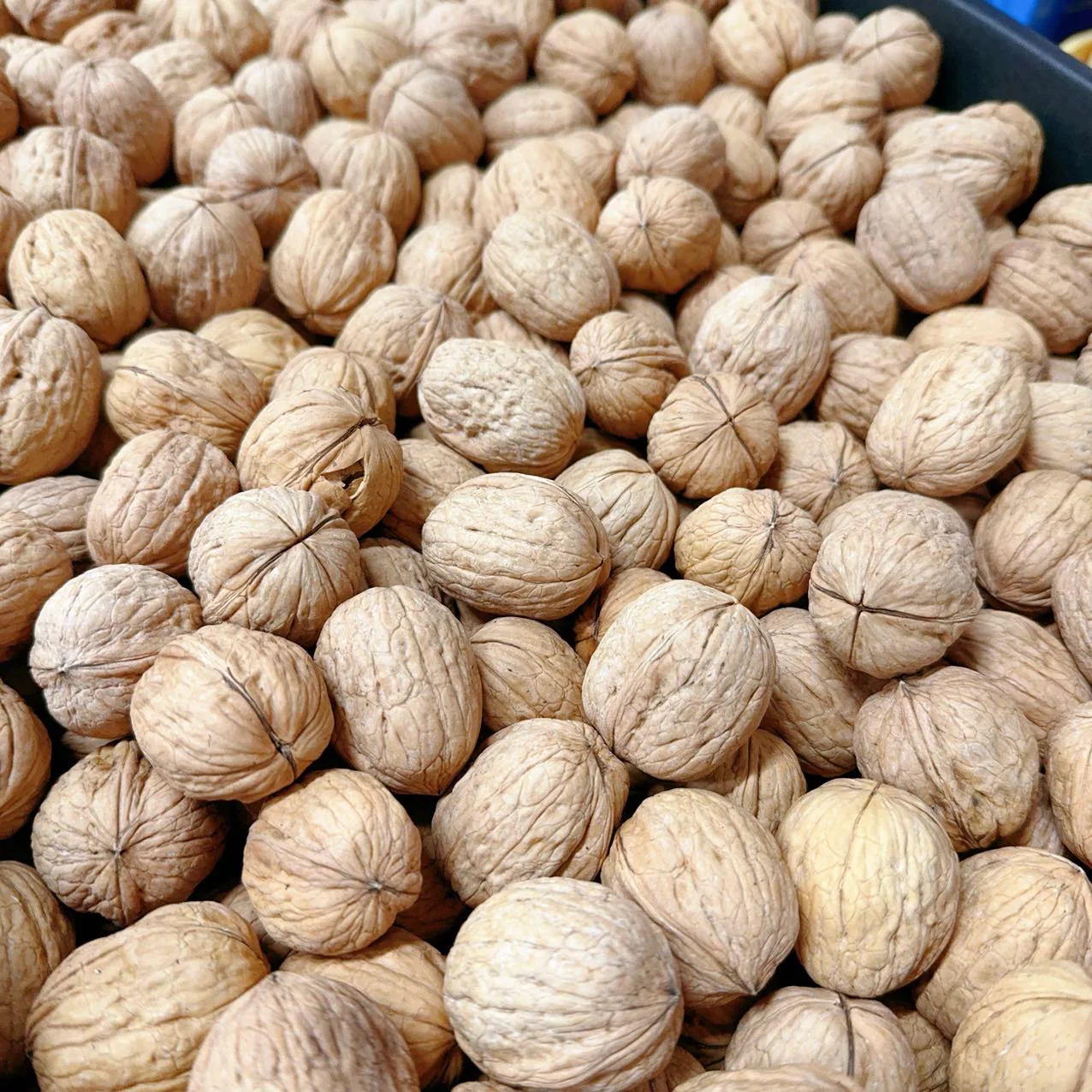 Walnuts - 500g - Image 2