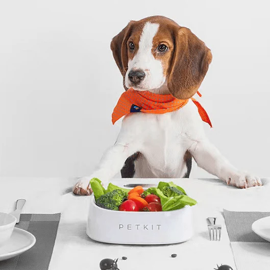 Petkit Smart Weighing Pet Bowl - Antibacterial, White - Image 2