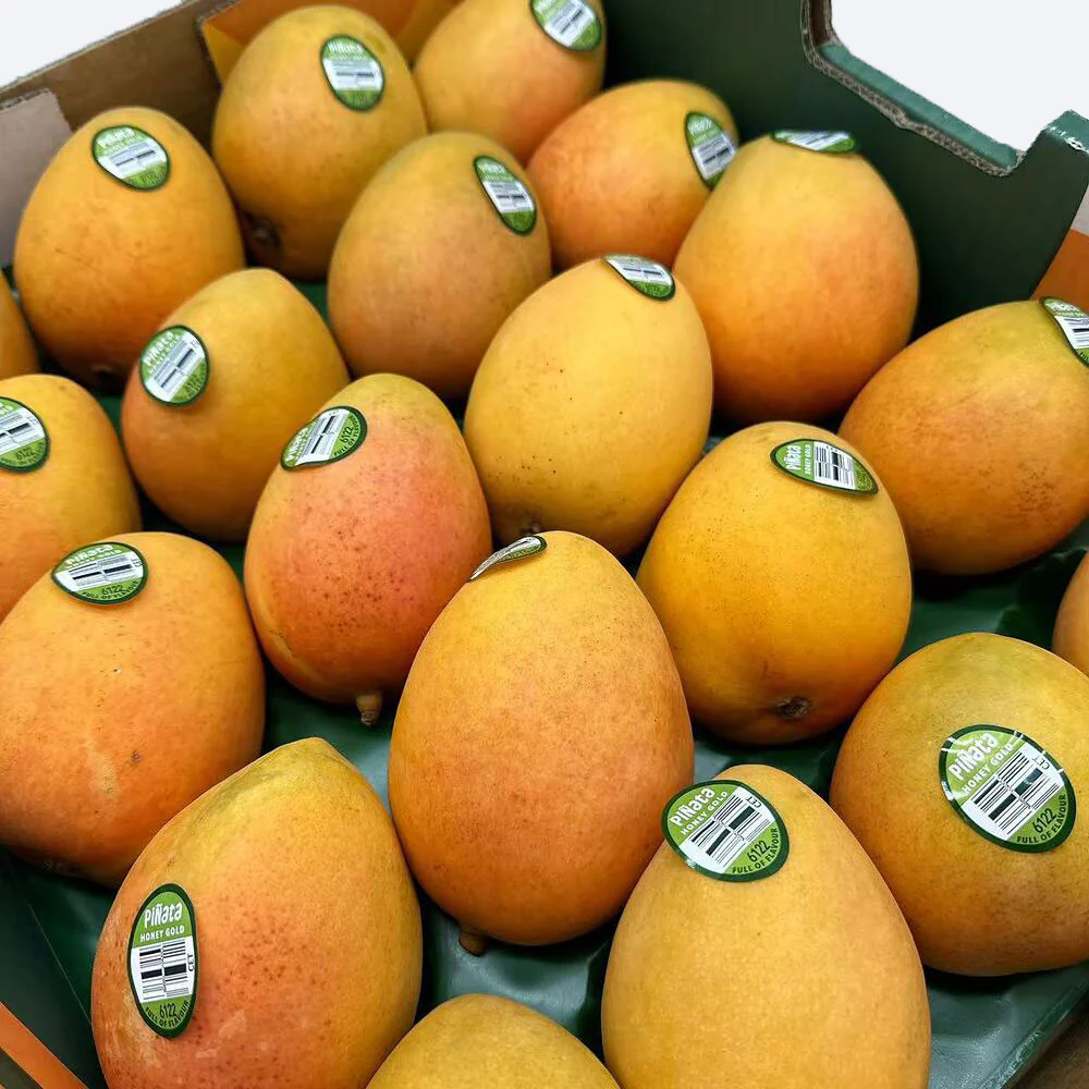 Piñata Honey Gold Mangoes - Medium, 2 Pieces
