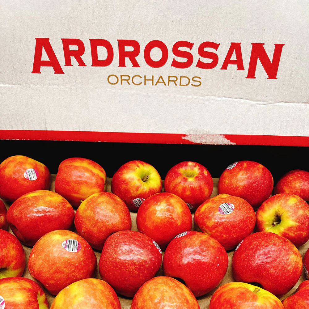 Pink Lady Apples - Box of 12kg - Image 2