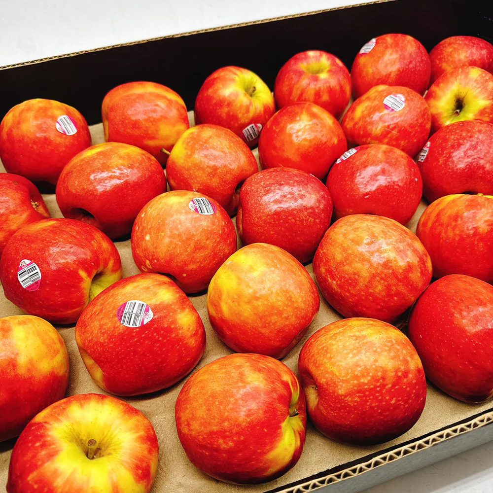 Pink Lady Apples - Box of 12kg - Image 3