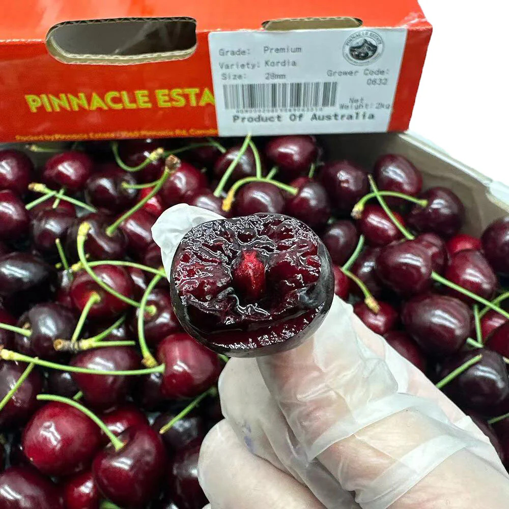Pinnacle Estate Kordia Cherries Gift Box 2kg – 28mm+ Premium Size - Image 4