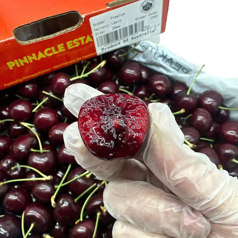 Pinnacle Estate Lapin Cherries 28mm+ Gift Box 2kg - Image 4