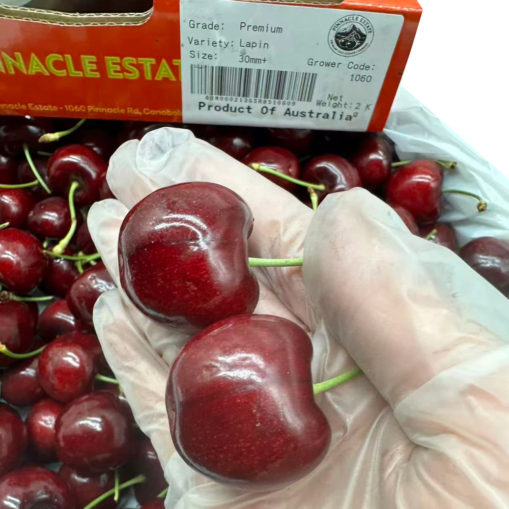 Pinnacle Estate Lapin Cherries 30mm+ Gift Box 2kg - Image 3