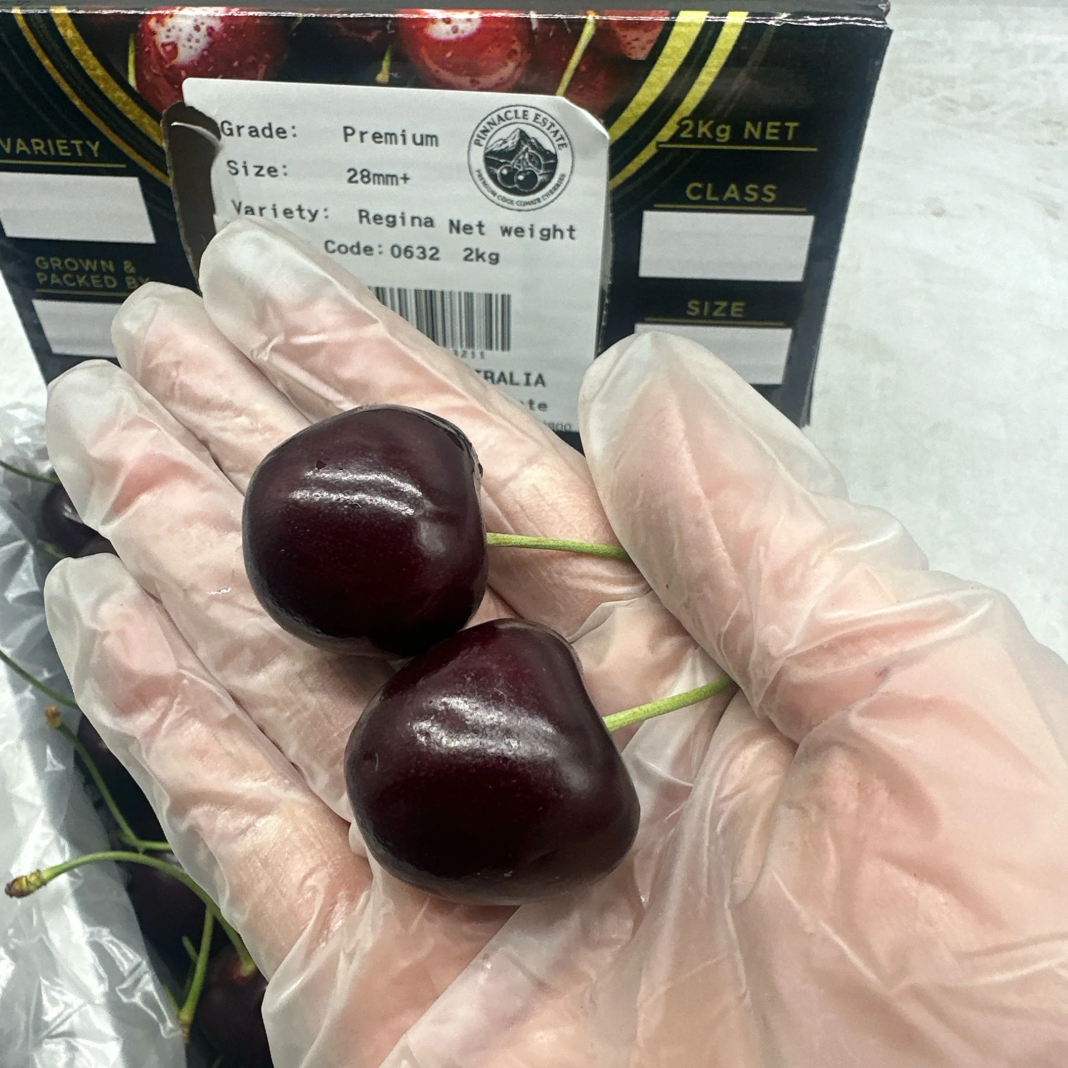 Pinnacle Estate Regina Cherries 28mm+ Gift Box 2kg - Image 4