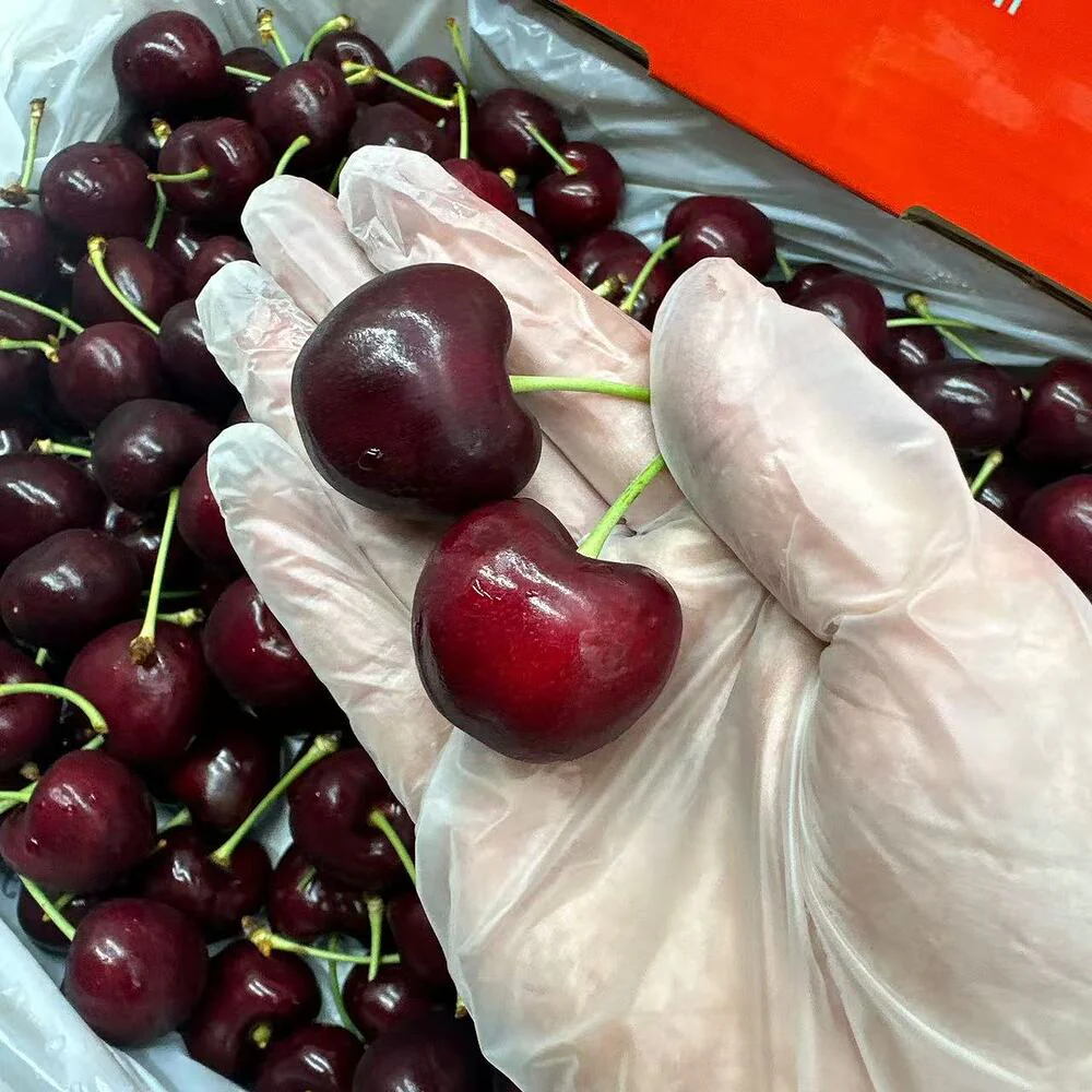 Pinnacle Estate Samba Cherries 30–32mm Gift Box ~2kg - Image 3
