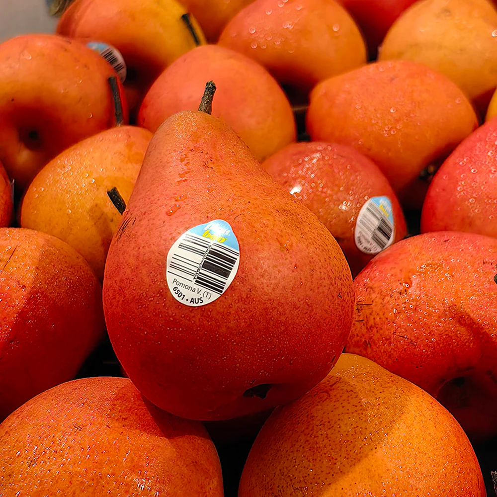 Piqa Boo Ruby Pears - 1kg - Image 3