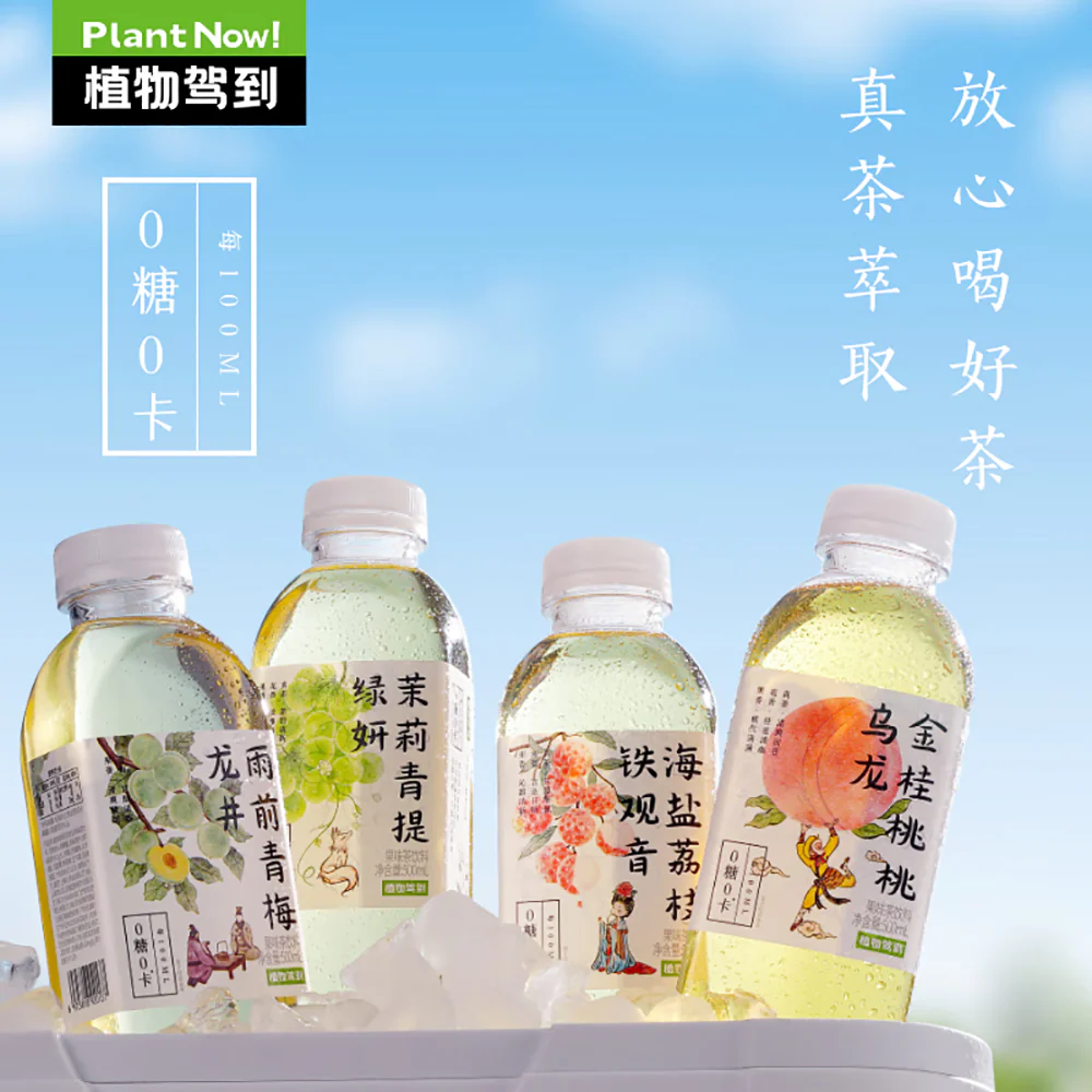 Plant Arrival Rain-Pre Qingmei Longjing Tea, Zero Sugar, Zero Calorie - 500ml - Image 2
