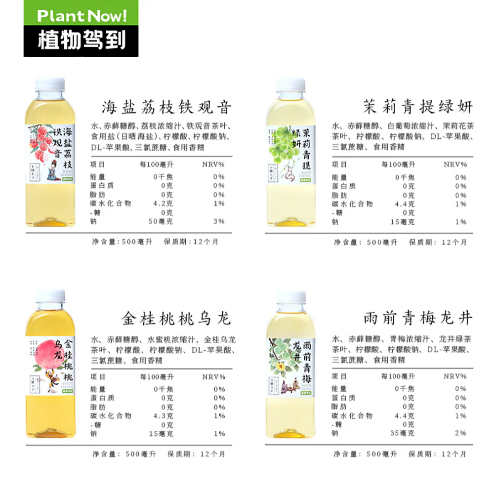 Plant Arrival Rain-Pre Qingmei Longjing Tea, Zero Sugar, Zero Calorie - 500ml - Image 4