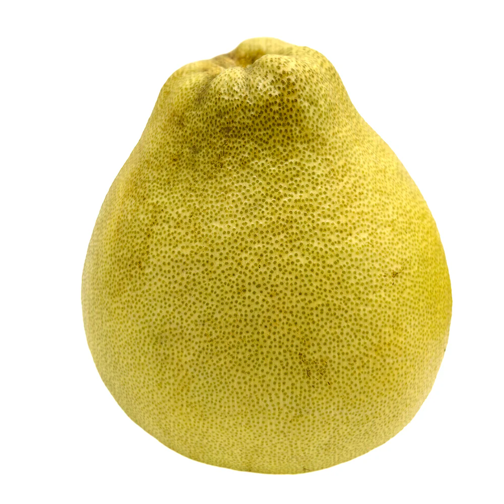 Pomelo White Flesh Grapefruit - 1.6kg