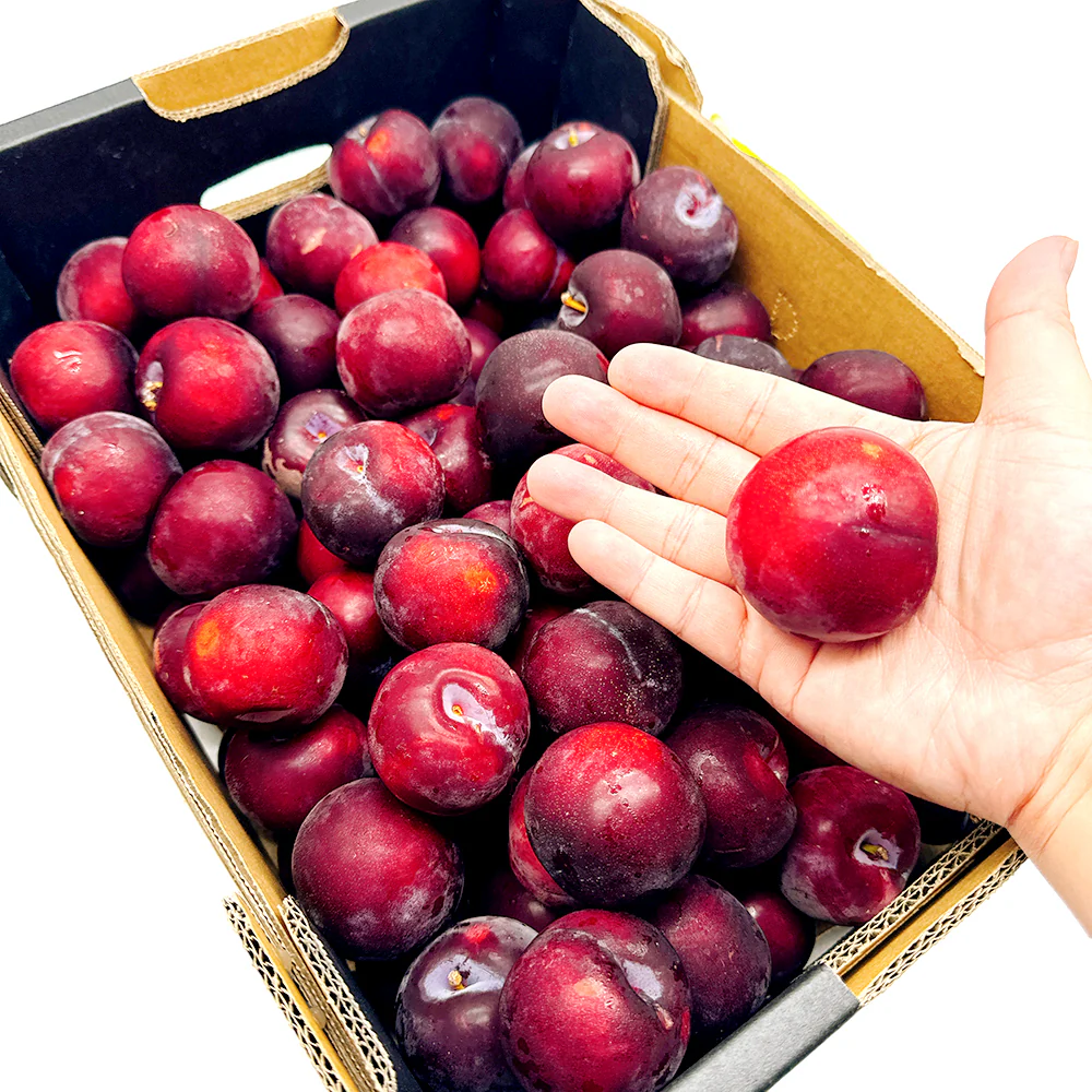 Premium Fresh Plums - 1kg - Image 2