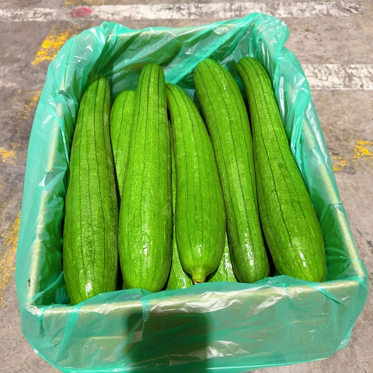 Premium Fresh Sponge Gourd - 1 Piece, 600g - Image 3