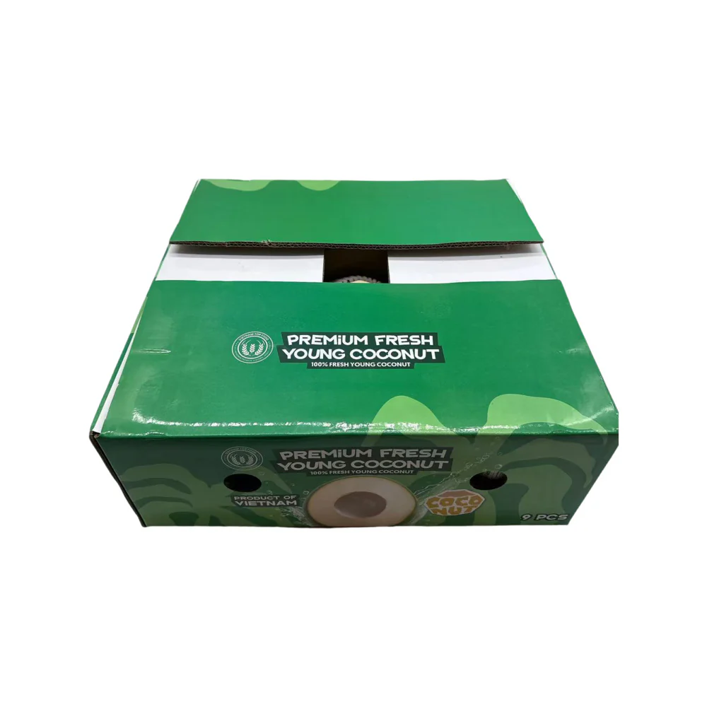Premium Fresh Young Coconut from Vietnam - Large, 1 Piece - Sweet Drinking Coconut - Image 4