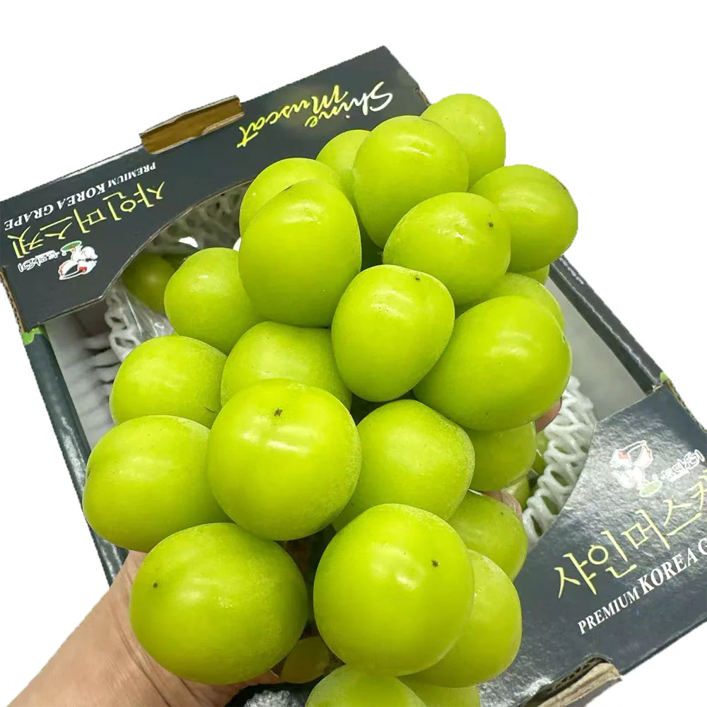 Premium Korean Shine Muscat Grapes Gift Box 2kg – Seedless, Edible Skin