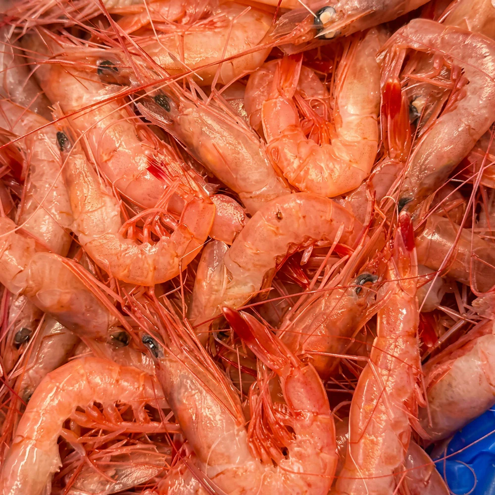 Prime Catch Frozen Australian Deep Sea Red Prawns 2.5kg