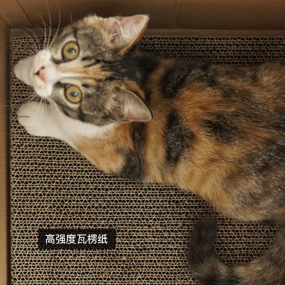 Purroom New Cat Scratching Box - Chicken Pattern - Image 3