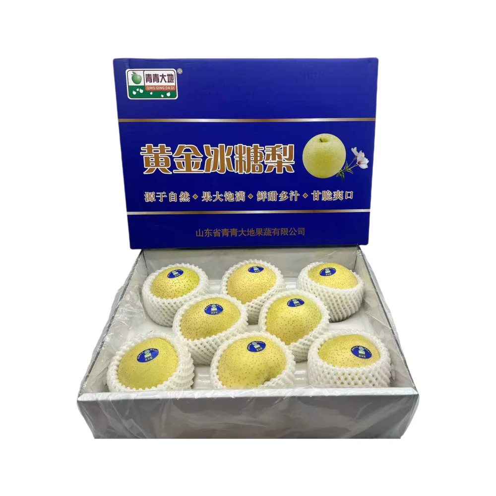 Qing Qing Da Di Golden Rock Sugar Pears Size 8 - 4kg Box - Chinese Bingtang Pears
