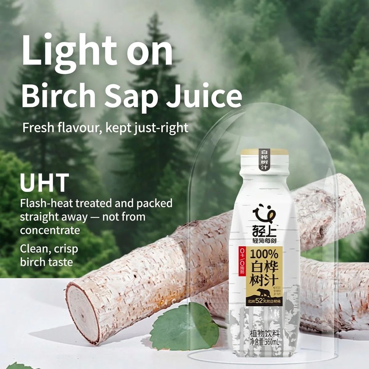 Qing Shang 100% White Birch Juice - 360ml x 15 Bottles (Case) - Image 4